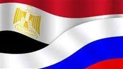 الربط الكهربائي ونقل الغاز.. محطات هامة صنعت العلاقات الاقتصادية بين مصر وقبرص 