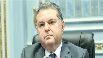 وزير قطاع الأعمال: صرفنا تعويضات لـ 2000 عامل من شركة الحديد والصلب