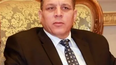 برلماني: العالم يعلق آمالًا كبيرا على مصر في نسخة المنتدى الرابعة 