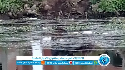 العثور على جثة شاب ببحر شبين الكوم بالمنوفية (صور)