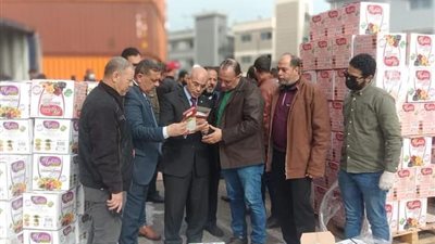 جمارك الإسكندرية تضبط كمية كبيرة من مادة الإمفيتامين المخدرة القادمة من سوريا (صور)