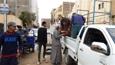 حملة مكبرة بأسوان لإزالة 1251 حالة إشغال 