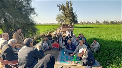 وزارة الزراعة تنتهي من تنفيذ ٣٠ مدرسة حقلية