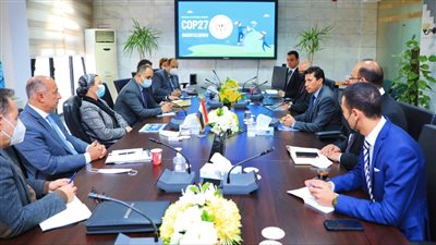 وزيرا الرياضة والبيئة يناقشان استعدادات استضافة مصر لمؤتمر المناخ COP27