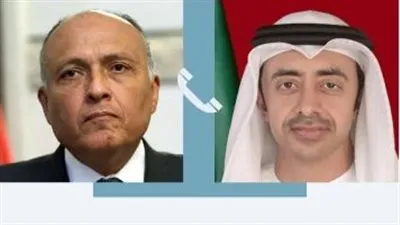 شكرى يؤكد لنظيره الإماراتى دعم مصر لما تتخذه أبو ظبى من إجراءات للتعامل مع الإرهاب 