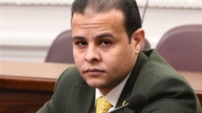 برلماني: السيسي عزز الانفتاح على إفريقيا إيمانًا بحق القارة السمراء في التنمية