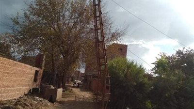 أهالى قرية ميت موسى بالمنوفية يناشدون المسؤولين حل أعمدة الإنارة المائلة