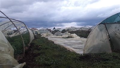 تضرر مئات البيوت البلاستيكية بسوء الطقس في الساحل السوري