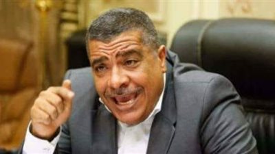 صناعة النواب: قرارات السيسي برفع الحد الأدنى للأجور استجابة لنبض الشارع