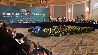 رئيس مجلس الأعمال الكوري المصري: مصر وجهة اقتصادية جذابة 