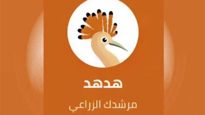 آخرها تطبيق 