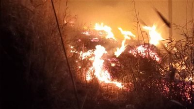 السيطرة على حريق اندلع أسفل كوبري الجيزة المعدني