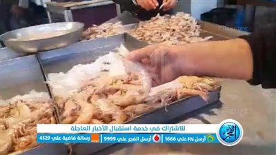 شاهد.. أنواع الأسماك وأسعارها وطريقة طهيها فى حلقة الأسماك بالسويس (فيديو وصور)
