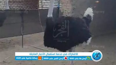 الأولى في سوهاج.. 