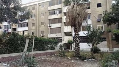 برلمانية: مخطط تطوير الحي السادس غير جاهز.. وقرار الإزالة لن يتغير