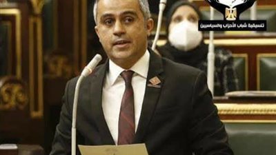  برلماني: المصريون يقدرون الجهود الكبيرة لأبطال الشرطة في حفظ الأمن