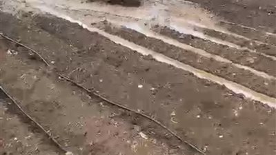 تسريب غاز داخل أرض زراعية بمحافظة الدقهلية واستدعاء الشركة المختصة