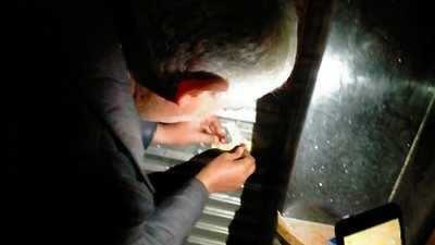 أحياء الإسكندرية تشن حملات مكبرة على المقاهي والمطاعم المخالفة 