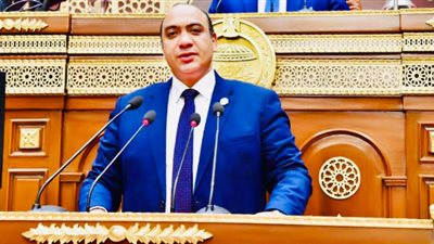 نائب بالشيوخ: عيد الشرطة يمثل علامة بارزة في تاريخ مصر