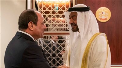 السيسي: التكاتف ووحدة الصف العربي من أقوى السبل لدرء المخاطر الخارجية