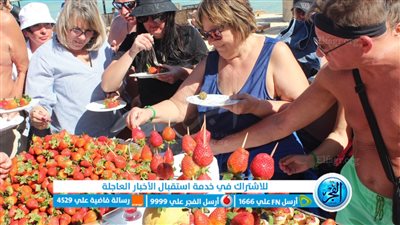 سياح مرسى علم يواجهون موجة البرد بمهرجان الفراولة على شاطئ البحر (صور)