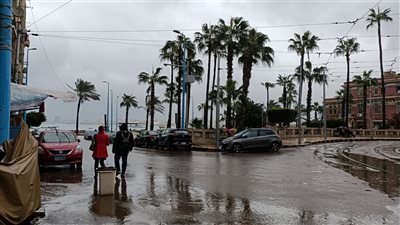 «العاصفة هبة» تضرب سواحل الإسكندرية مع أجواء نوة الكرم (فيديو وصور)