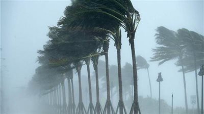 بيان عاجل من 