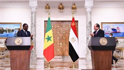 أستاذ اقتصاد: السنغال ستسفيد من خبرة مصر في الكهرباء والطاقة المتجددة