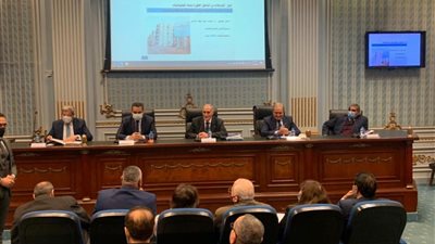 صندوق مكافحة الإدمان يستعرض مجهودات مواجهة تعاطي المخدرات بمجلس الشيوخ