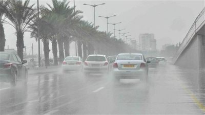 الأرصاد تحذر من تقلبات جوية جديدة (فيديو)