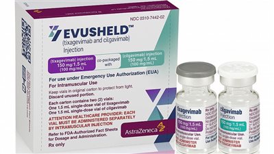 بعد وصولها مصر.. 