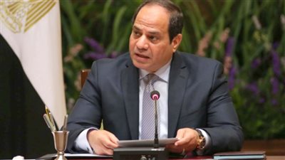 بعد قراره بإنجاز قضايا الأسرة.. برلمانية: السيسي دائما مهموم بالأسر المصرية