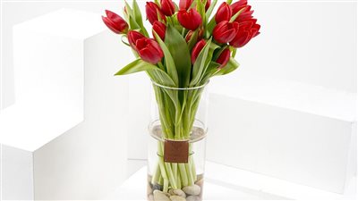 فلاورد تطلق حملة 