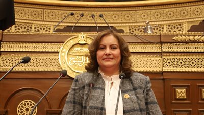 برلمانية تشارك في ورشة عمل بالبرلمان العربي بشأن العنف ضد المرأة 