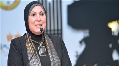 وزيرة الصناعة تكشف تفاصيل خطة مصر لزيادة الصادرات