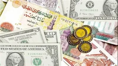 سعر الدولار في مصر اليوم الأربعاء 2 فبراير 2022