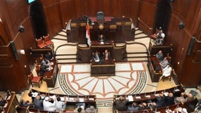 نائب بالشيوخ: مصر تسير بقوة في مجال الطاقة برفع الصادرات البترولية للخارج