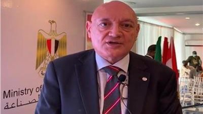 سفيرنا بالكاميرون: 10 طائرات تحمل 3 آلاف مصري لحضور نهائي الأمم الإفريقية