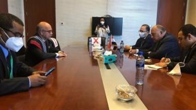 سامح شكري يبحث مع وزير خارجية مدغشقر تعزيز العلاقات الثنائية 