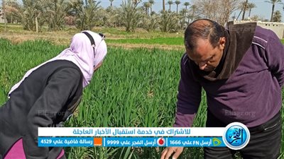 وكيل زراعة الفيوم يشدد على ضرورة فحص الزراعات لاكتشاف أي إصابات