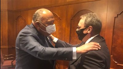 شكري يبحث مع نائب وزير الخارجية الروسي العلاقات الثنائية بين البلدين 