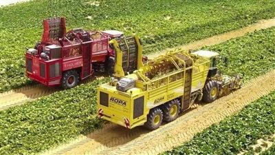 رئيس جامعة القاهرة: نشارك في العديد من المشروعات القومية 