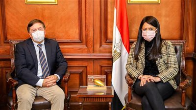 “المشاط” تجتمع مع استشاري دولي بشأن مساهمة الأمم المتحدة في 