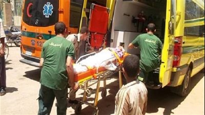 مصرع شاب في تصادم بين قريتي ميدوم وكوم ابوراضي ببني سويف