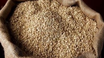 هل تؤثر الأزمة الروسية الأوكرانية على أسعار القمح؟.. خبير يجيب (فيديو)