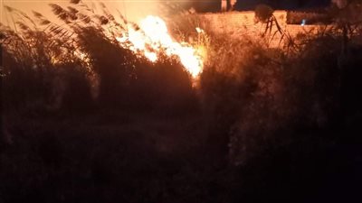 في أقل من 24 ساعة.. إخماد 4 حرائق مخلفات بالجيزة