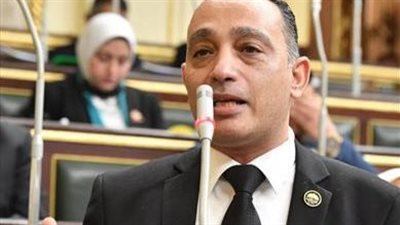 برلماني منتقدًا تعديلات قانون التعليم: 