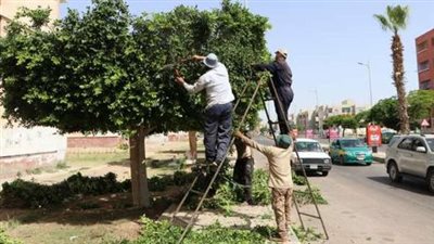 العامة للتجميل ونظافة القاهرة لـ المواطنين: 