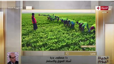 أستاذ استثمار: مصر من أفضل الأسواق عالميًا من حيث النمو وزيادة الناتج القومي