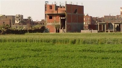 4 تحركات حكومية جديدة وعاجلة لمواجهة التعديات على الأراضي الزراعية